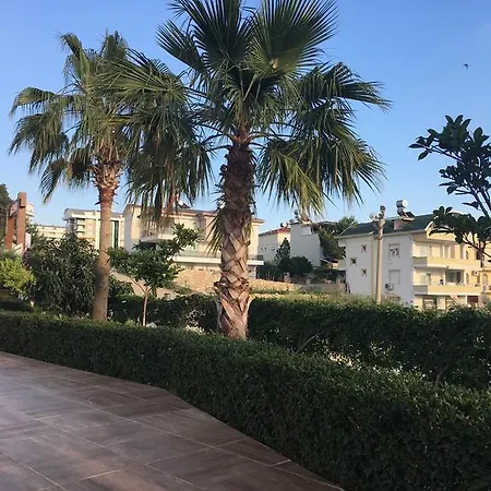 In Apartament