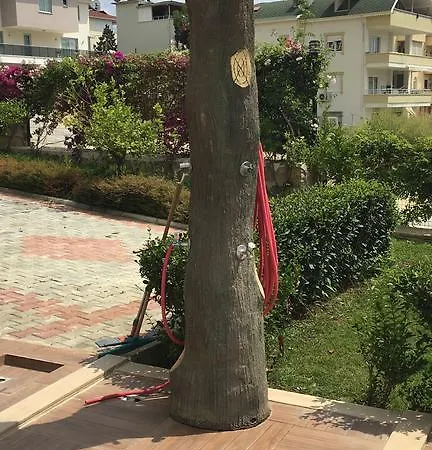In * Alanya