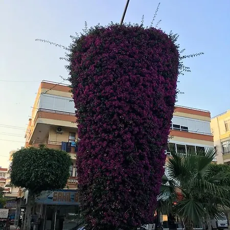 Apartament In Alanya